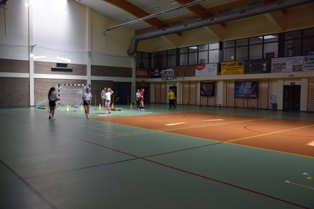 pirec07 36